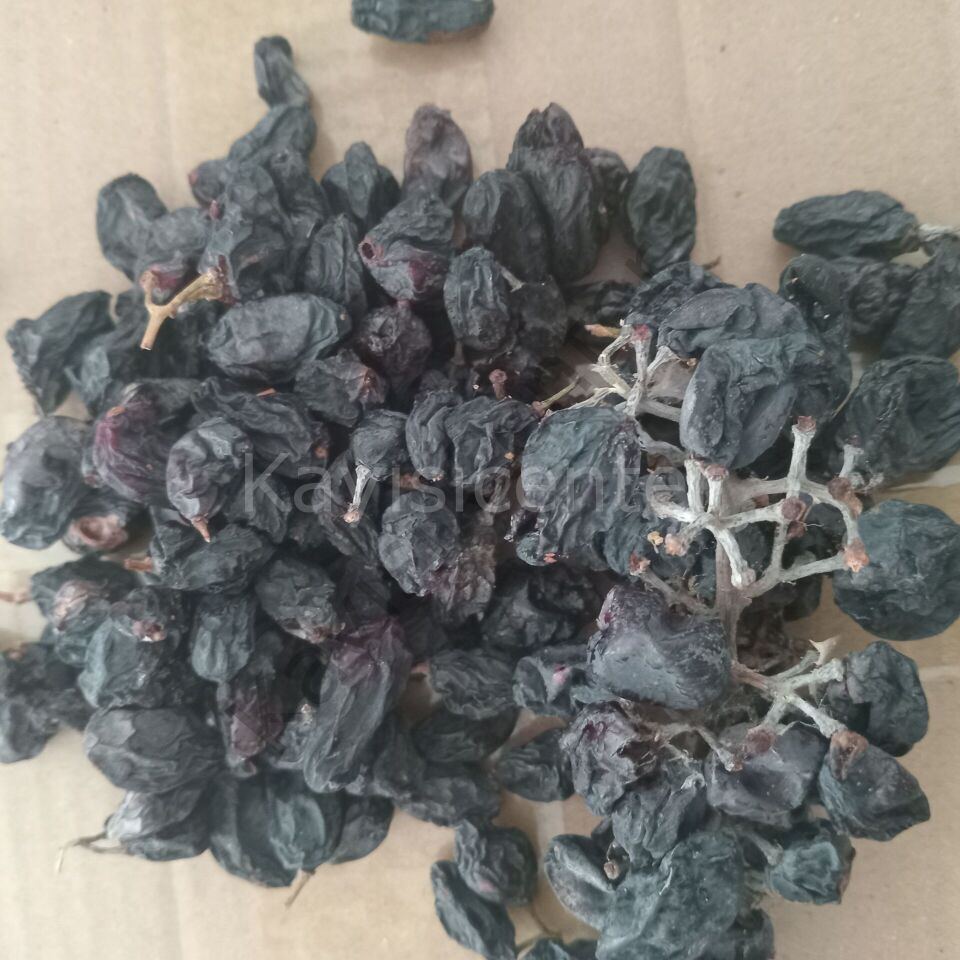 Toptan Atlık Kuru Üzüm 100 Kg