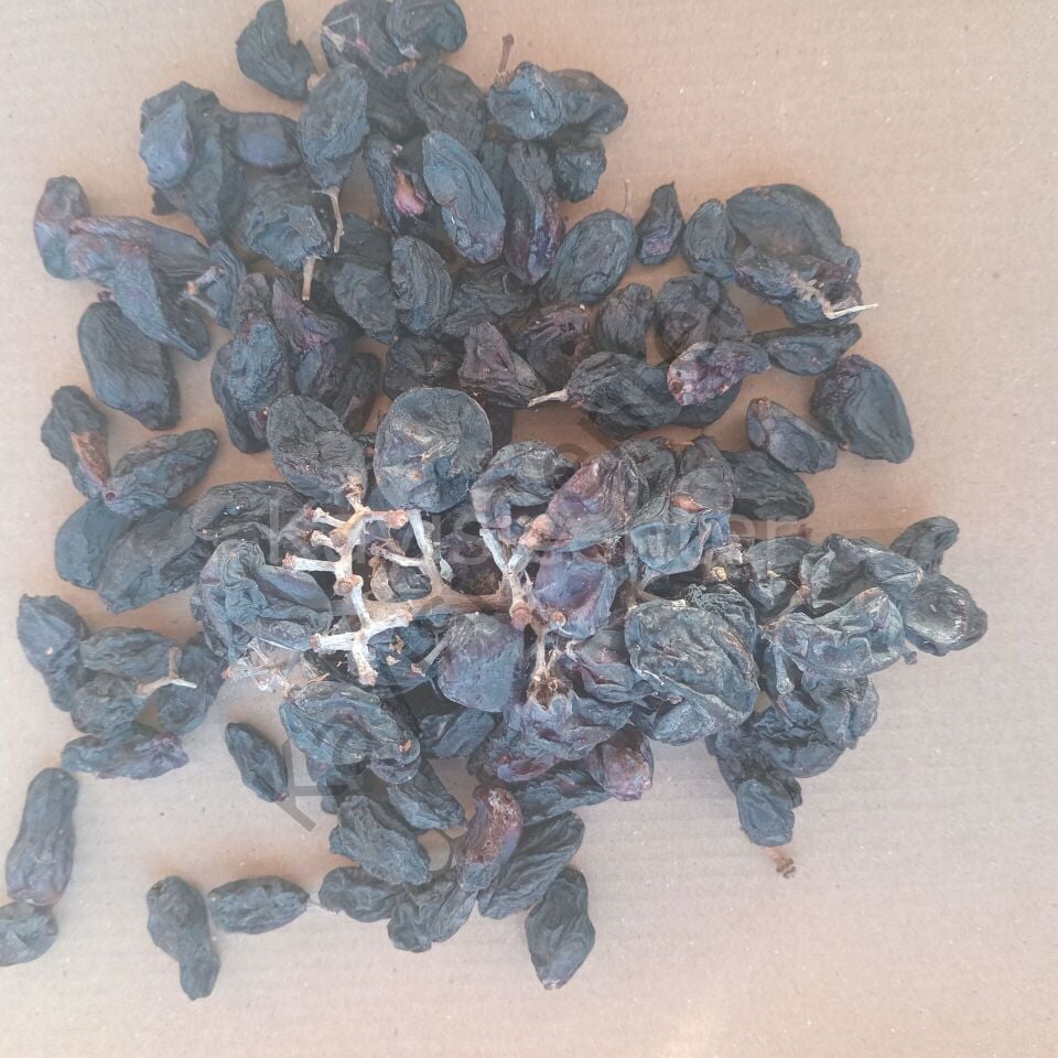 Toptan Atlık Kuru Üzüm 100 Kg