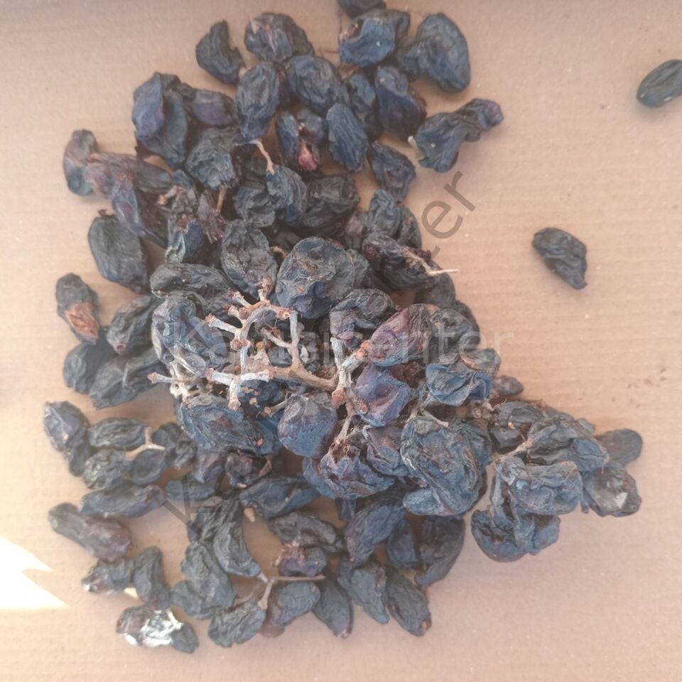 Toptan Atlık Kuru Üzüm 100 Kg