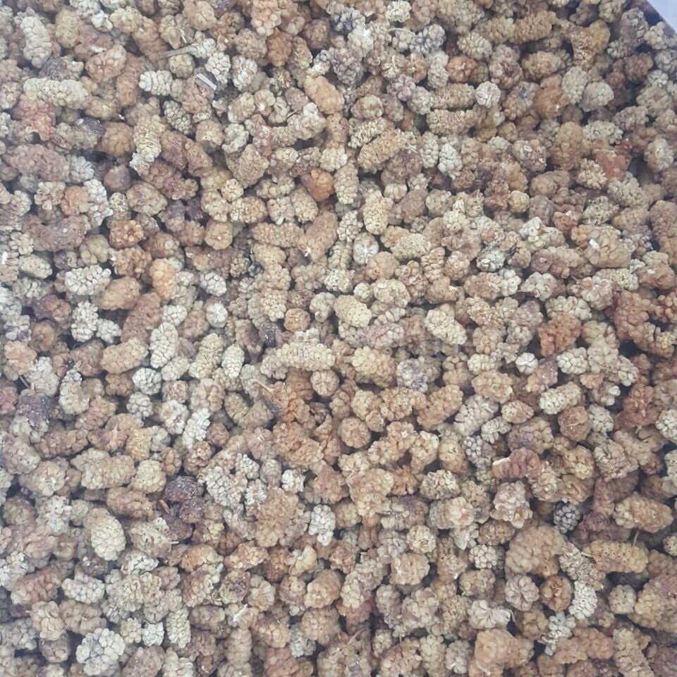 Toptan Yerli Dut Kurusu Ekonomik 12Kg