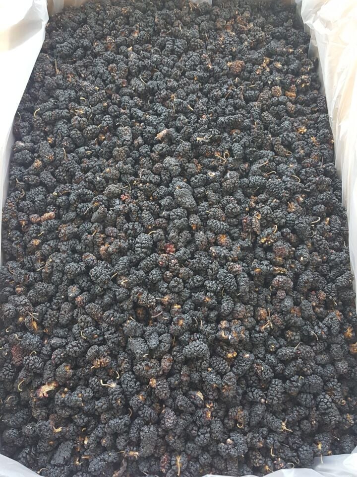 Toptan Kara Dut Kurusu 10 Kg