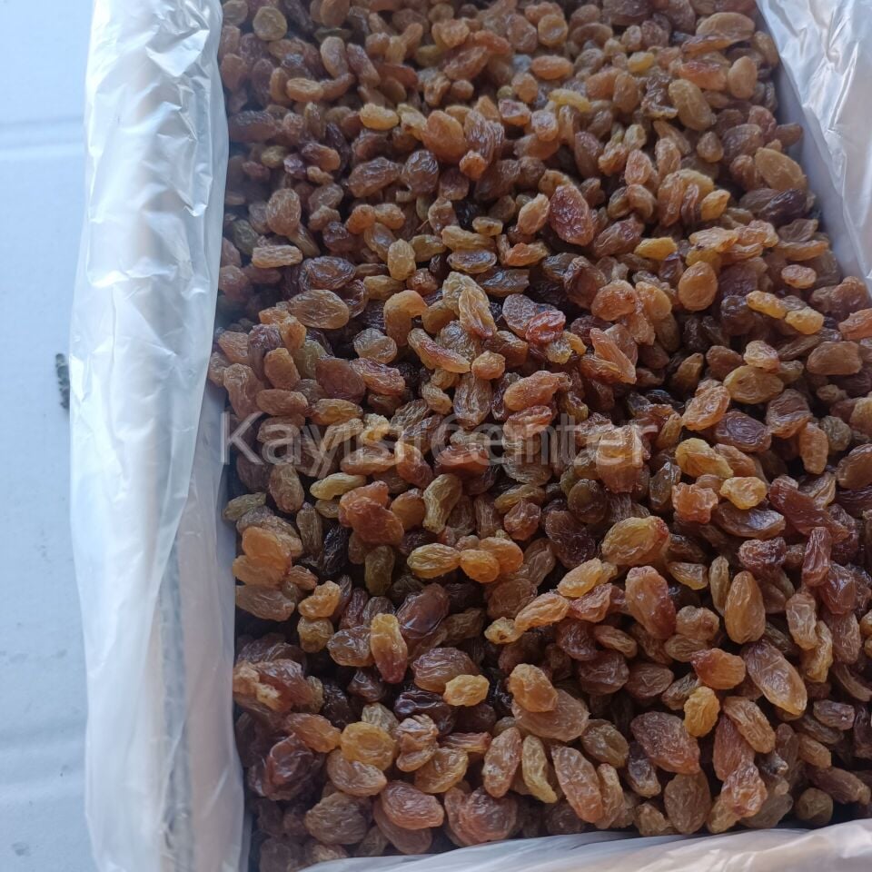 Toptan İzmir Çekirdeksiz Üzüm 10 Kg