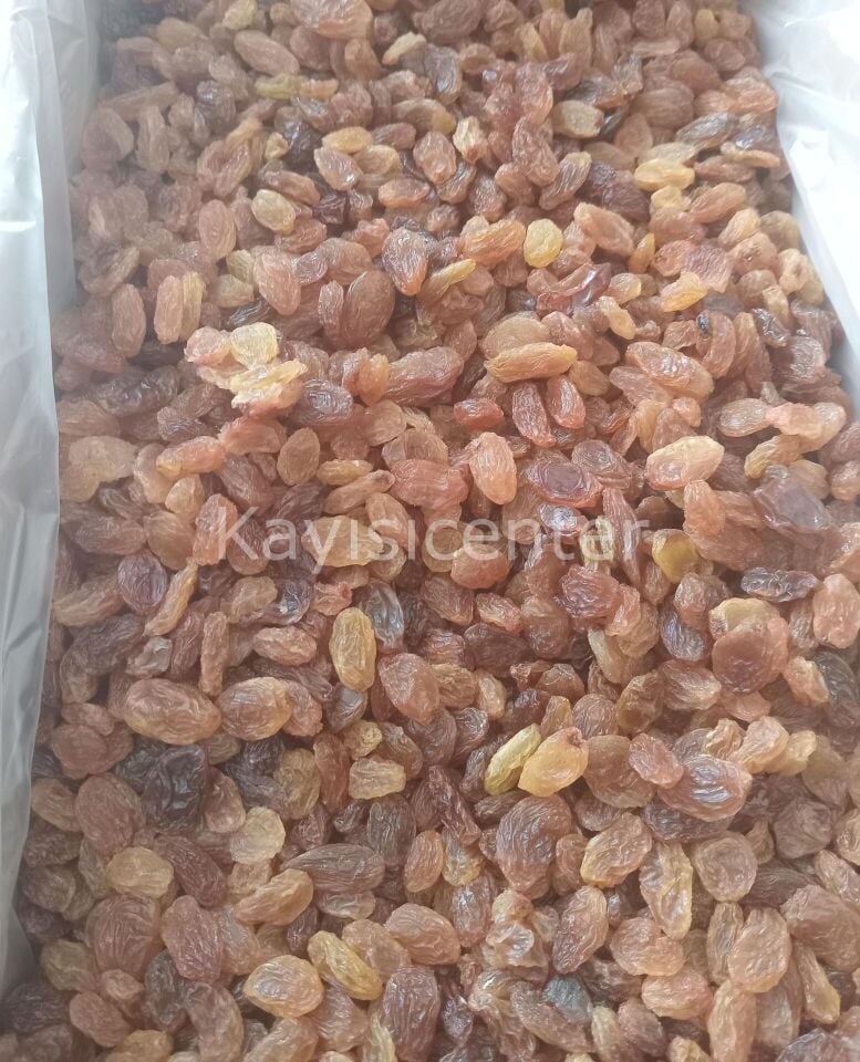 Toptan İzmir Çekirdeksiz Üzüm 10 Kg