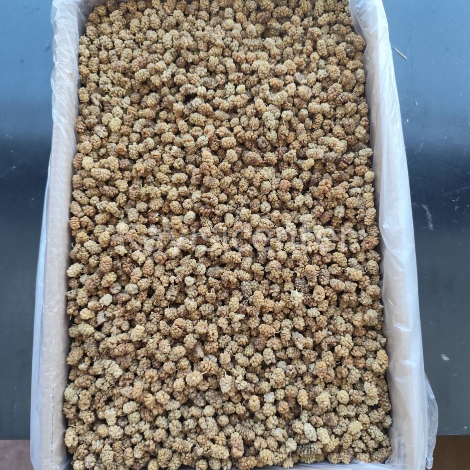 Toptan Özel Beyaz Dut Kurusu