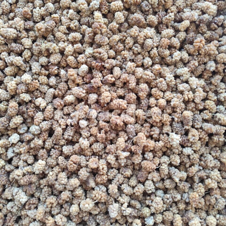 Toptan Özel Beyaz Dut Kurusu