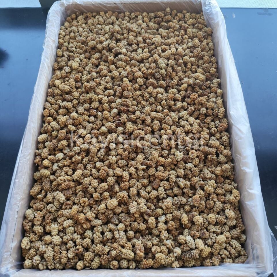 Toptan Özel Beyaz Dut Kurusu