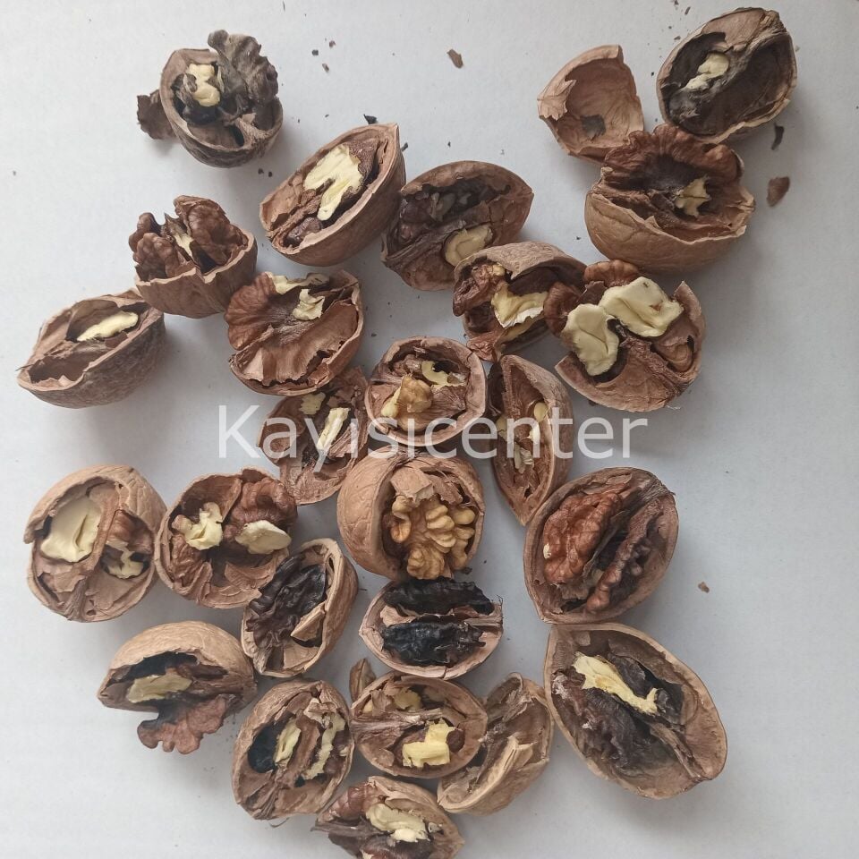 Toptan Yerli Ekonomik Kabuklu Ceviz  20 Kg