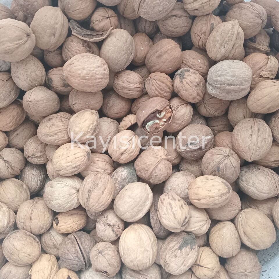 Toptan Yerli Ekonomik Kabuklu Ceviz  20 Kg