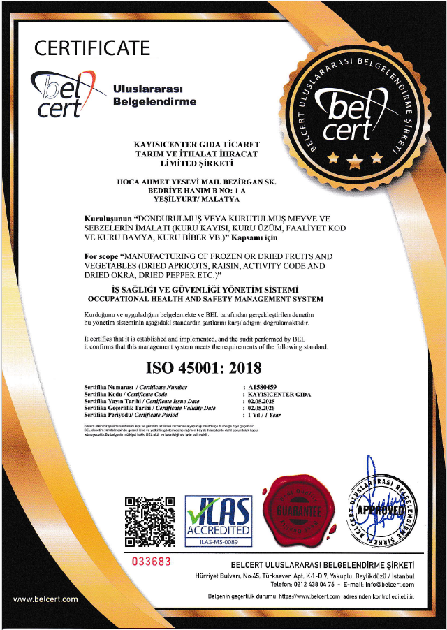 ISO-450001