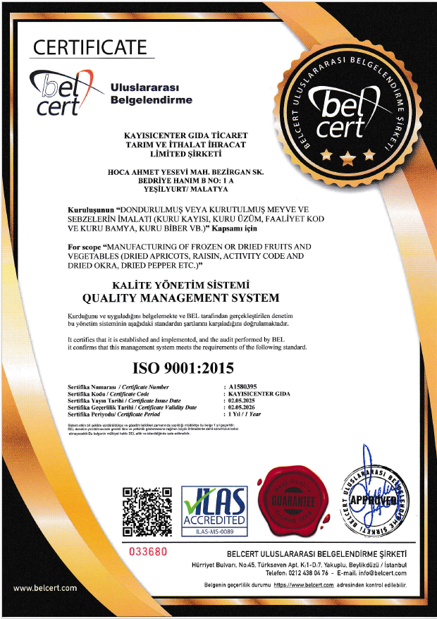 ISO-9001