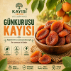 Toptan Gün Kurusu Kayısı