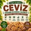 Toptan Ceviz
