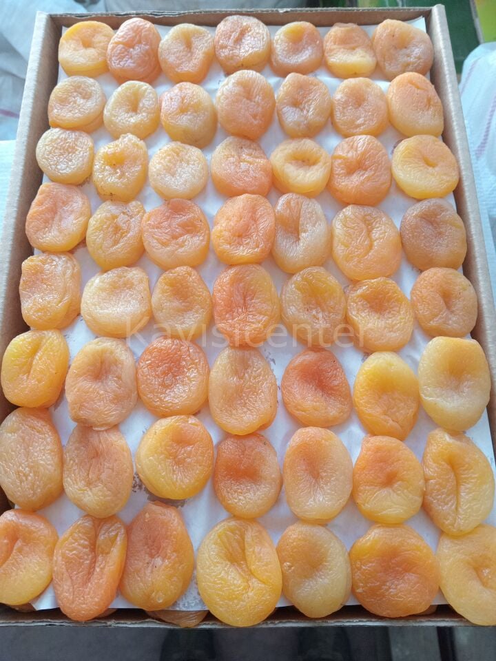 Toptan Jumbo Sarı Kayısı