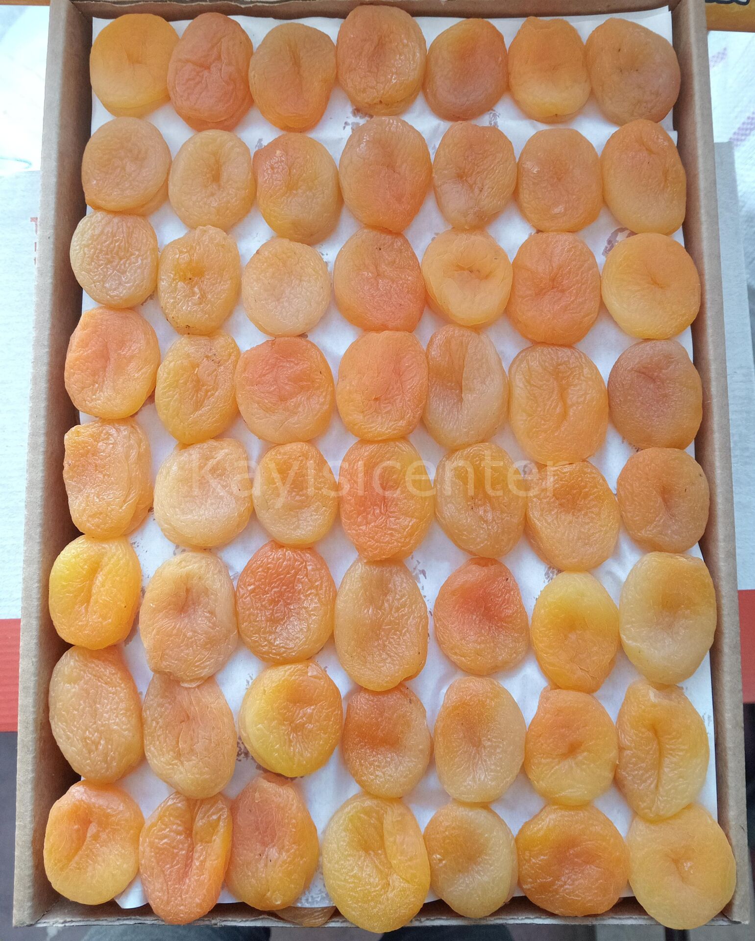 Toptan Jumbo Sarı Kayısı