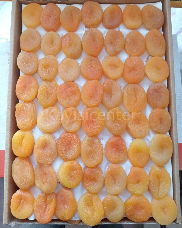 Toptan Jumbo Sarı Kayısı