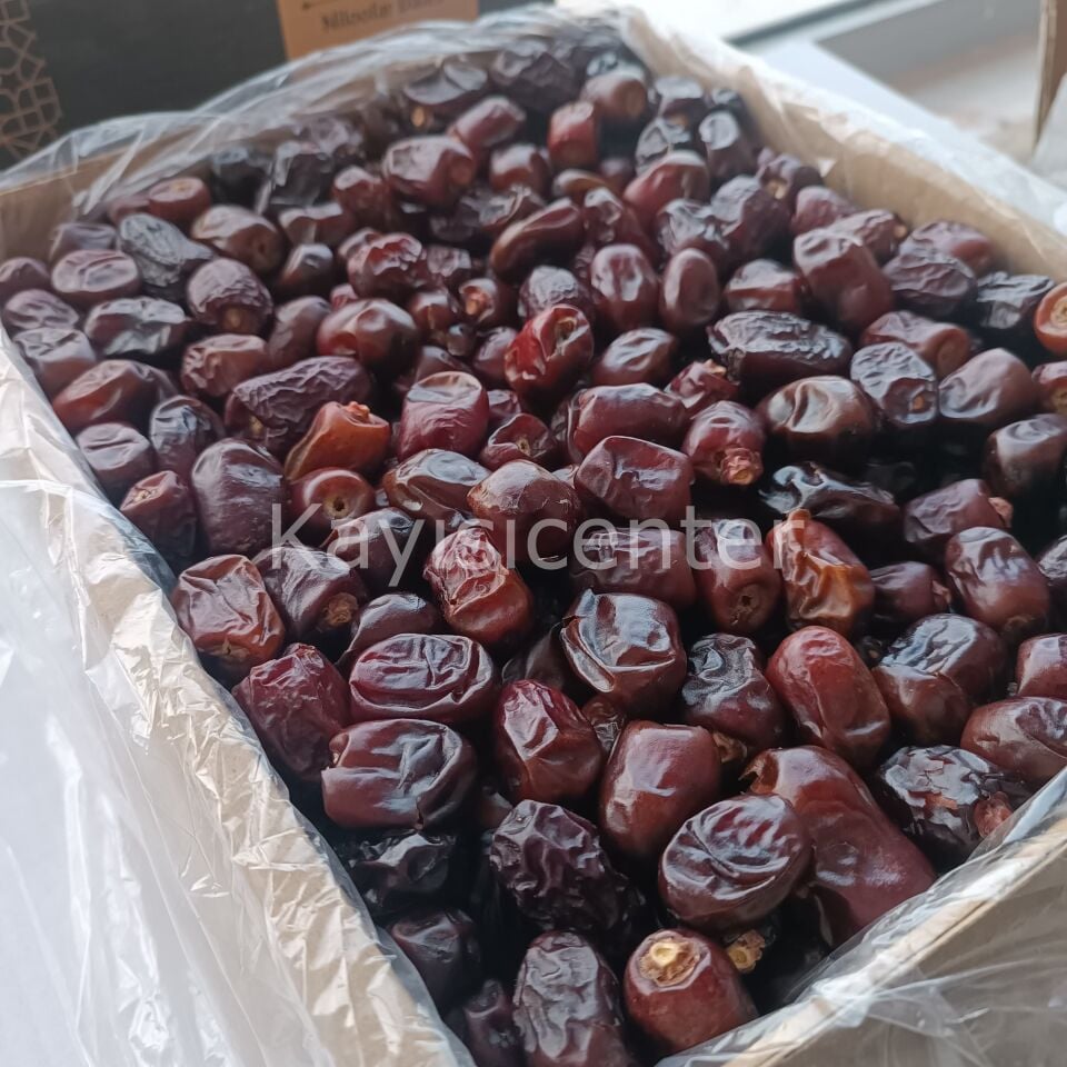 Toptan Dökme İran Mazafatı Hurma