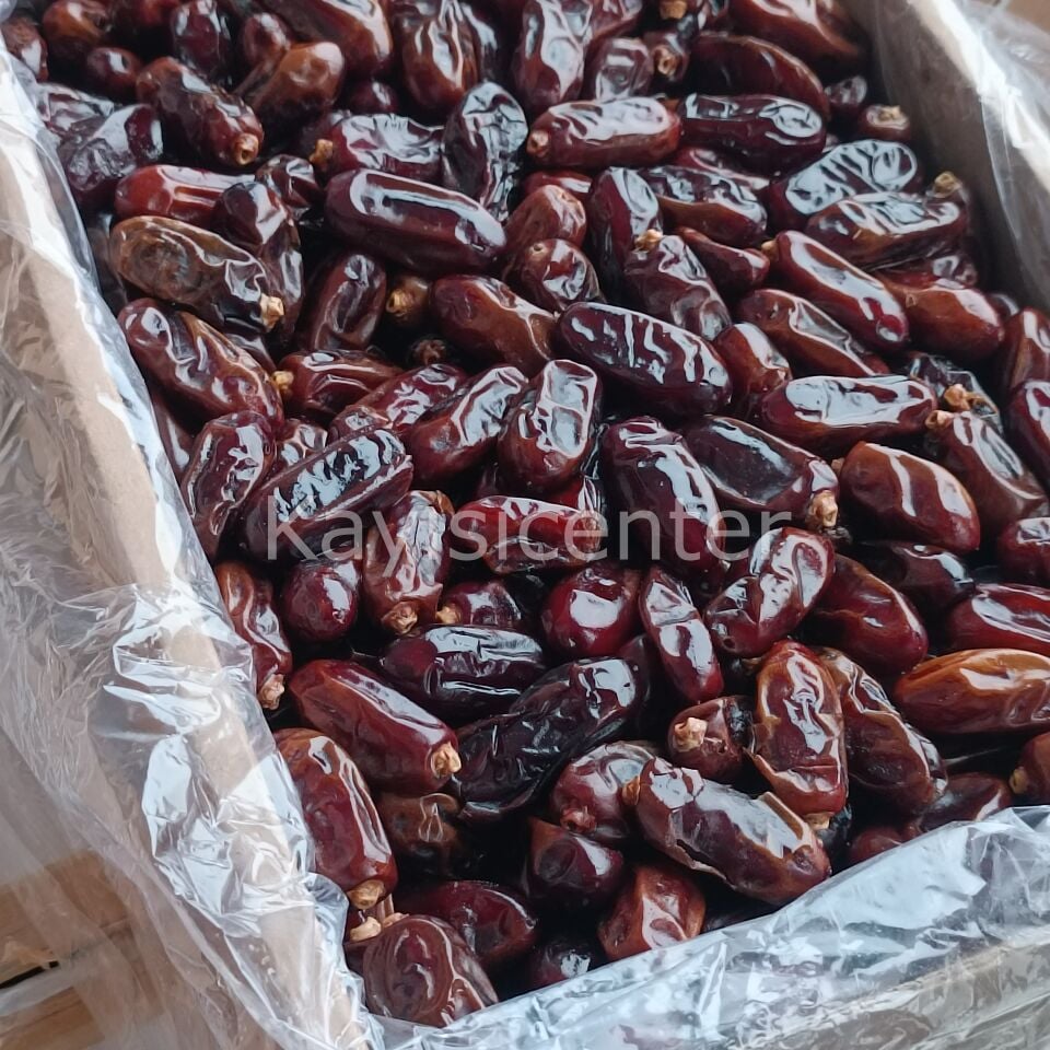 Toptan İran Rabi Hurma