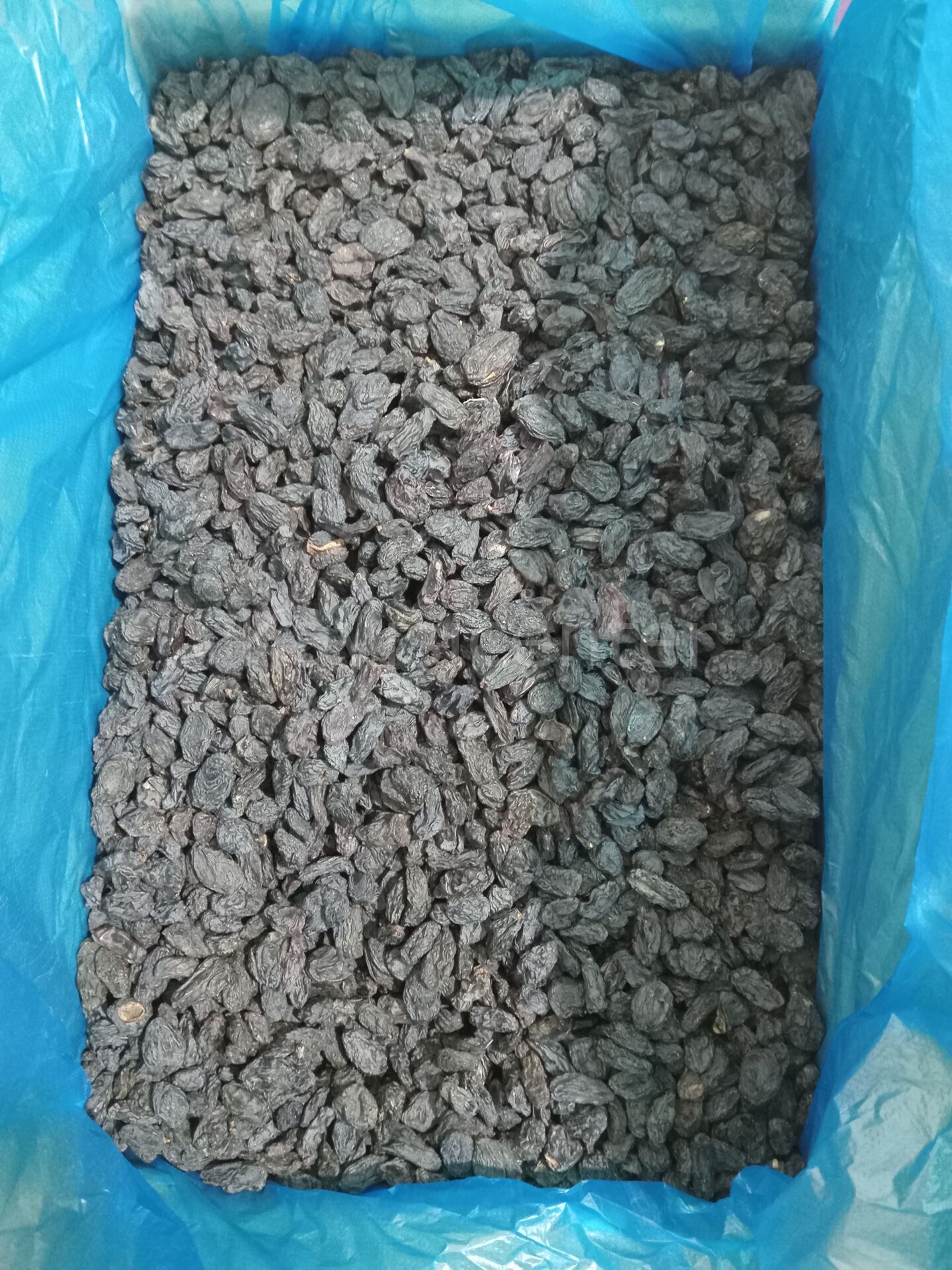 Toptan Çekirdeksiz Özbek Üzüm 10 Kg