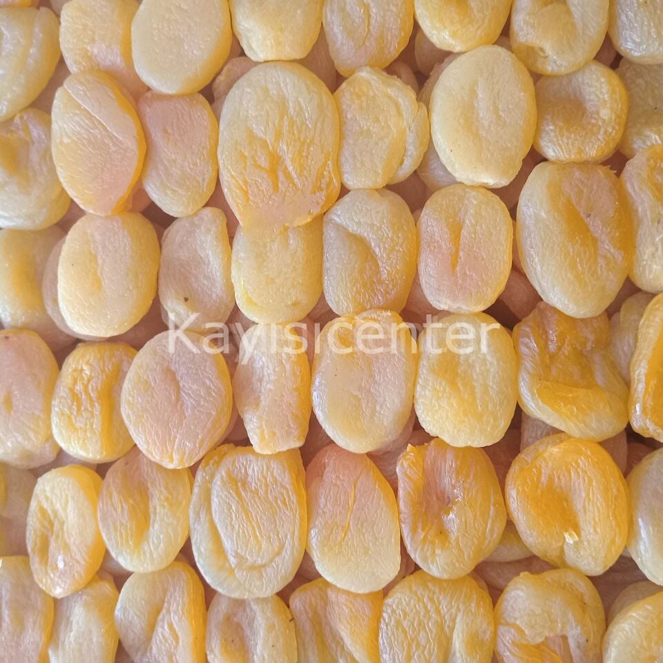 Toptan Sarı Kuru Kayısı 2 No Naturel