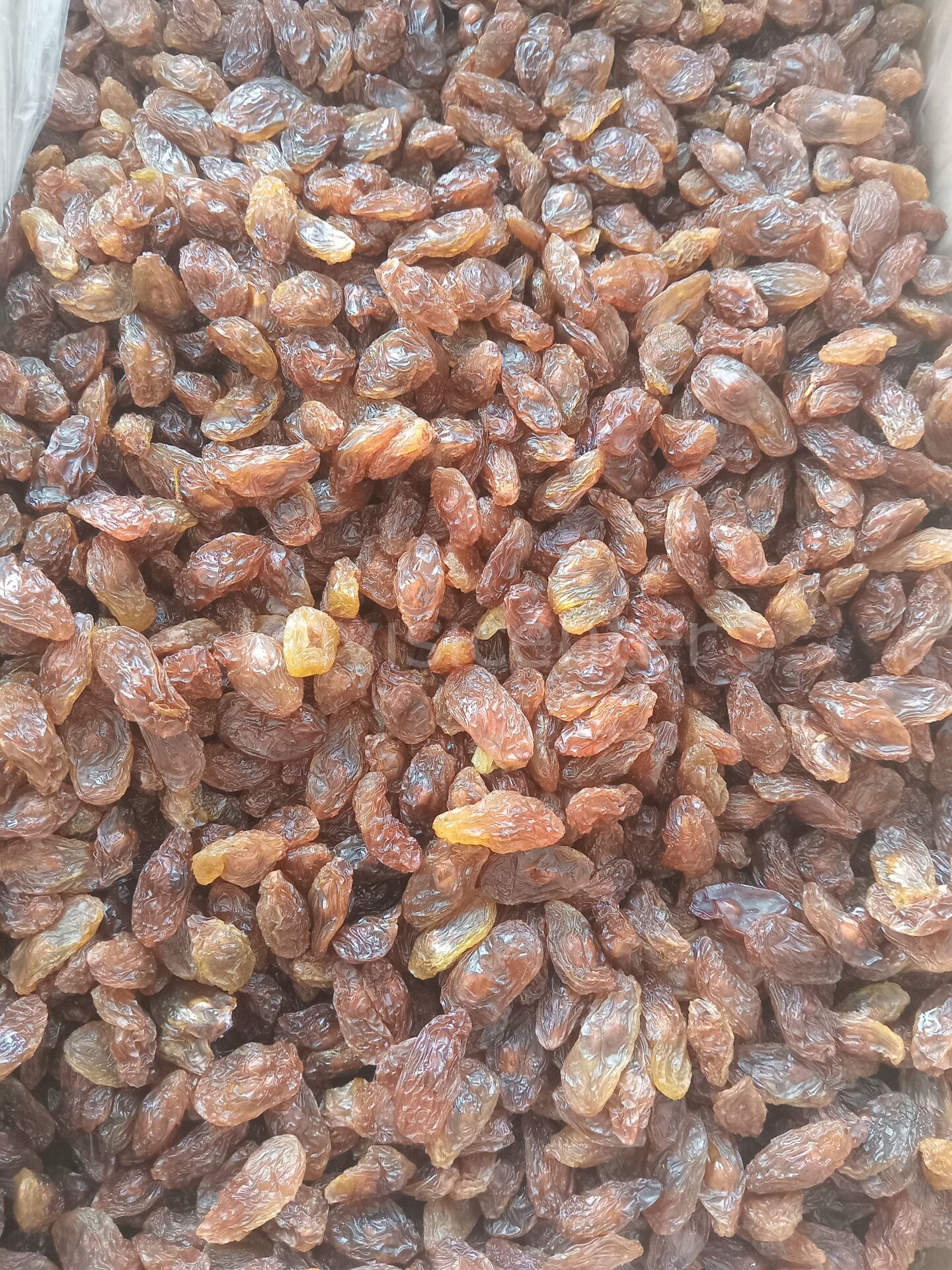 Toptan Besni Üzüm  Ekonomik 10 Kg