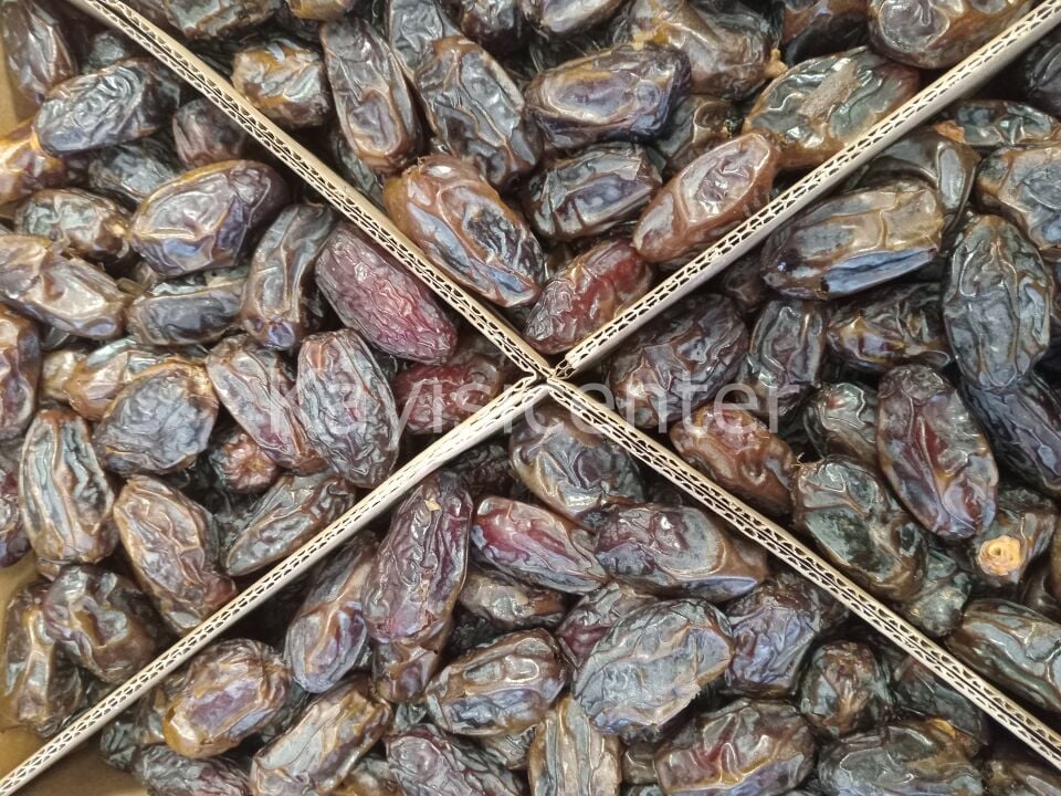 Toptan Kudüs Medjoul Jumbo Hurma