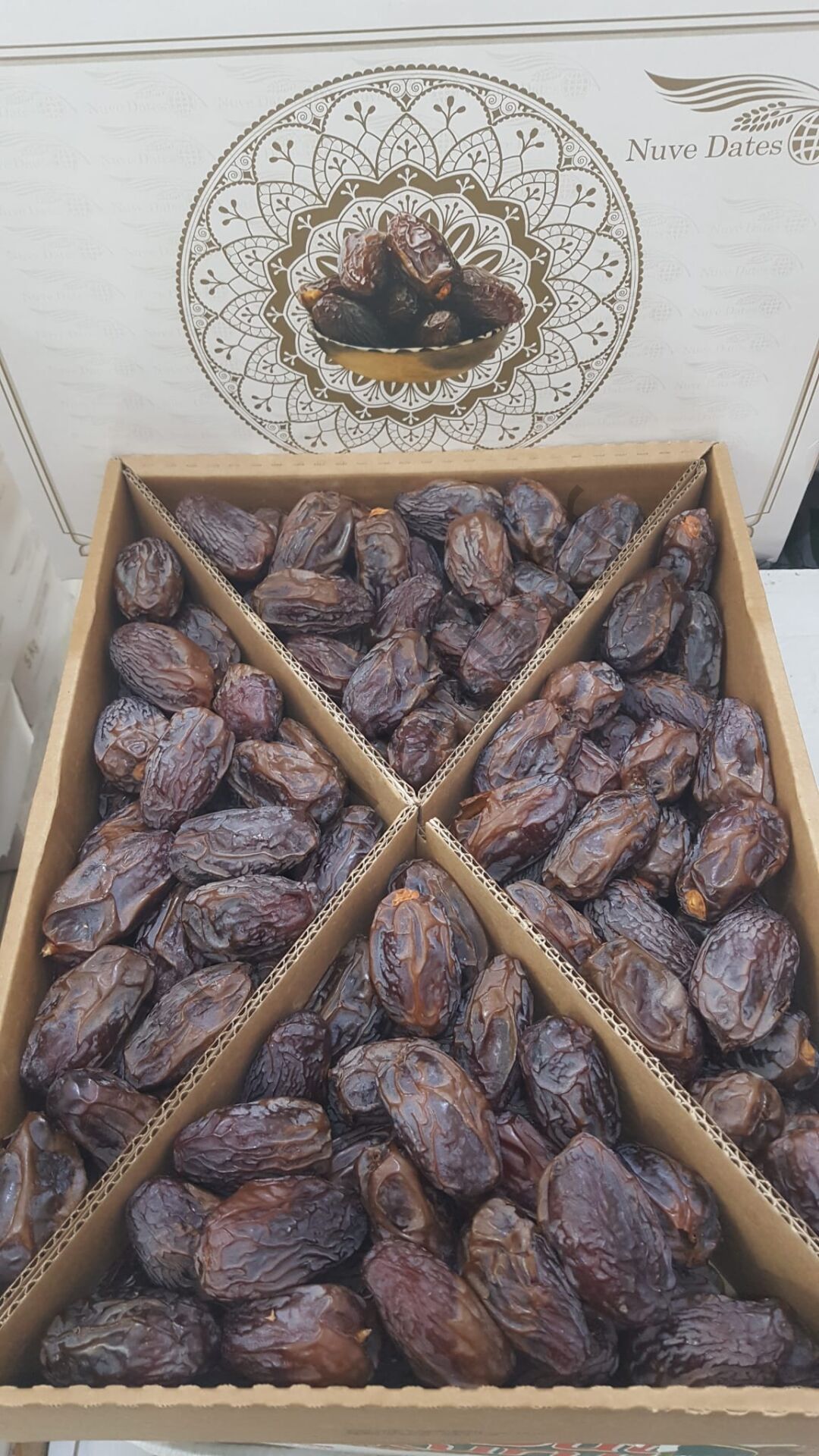 Toptan Kudüs Medjoul Jumbo Hurma