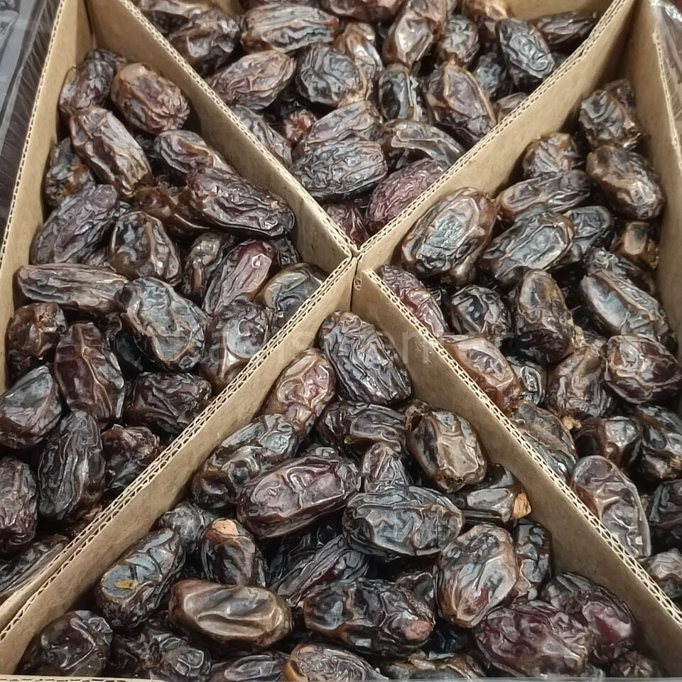 Toptan Kudüs Medjoul Jumbo Hurma