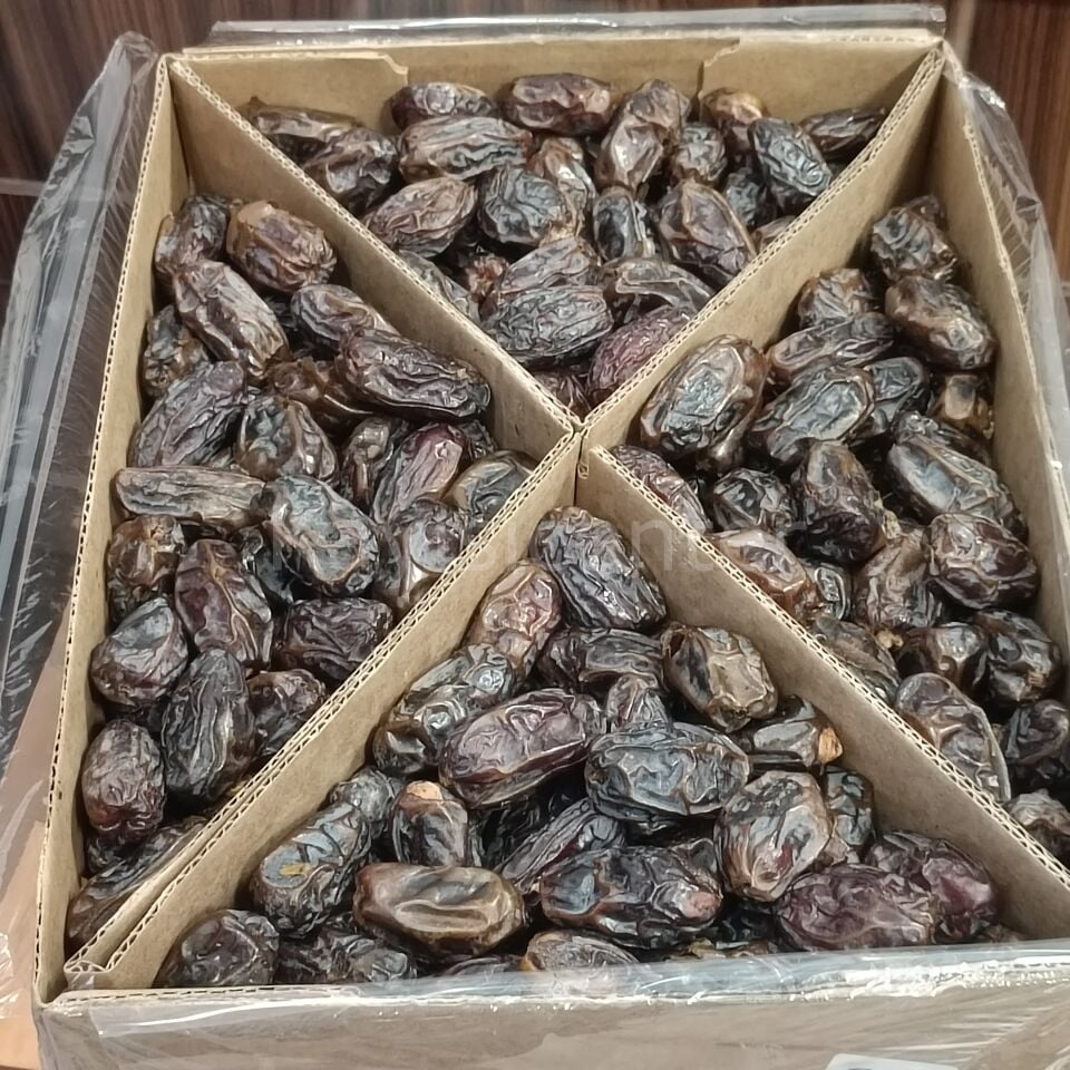 Toptan Kudüs Medjoul Jumbo Hurma