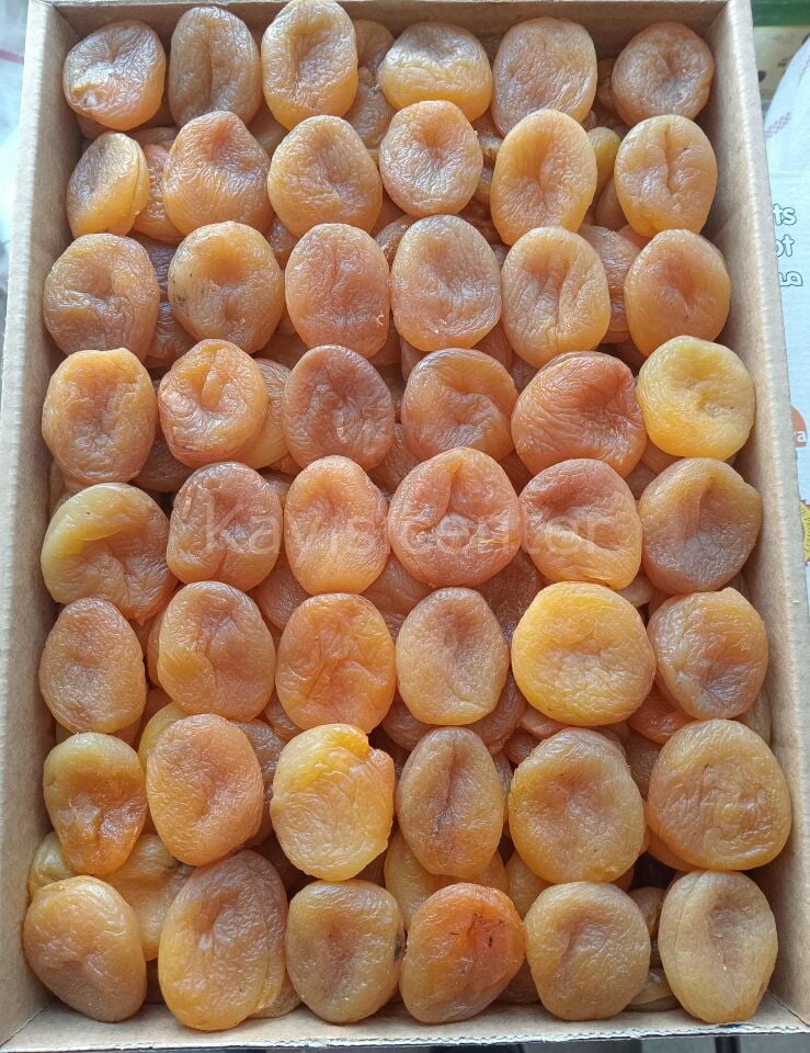 Toptan Jumbo Kayısı B Kalite 10 Kg