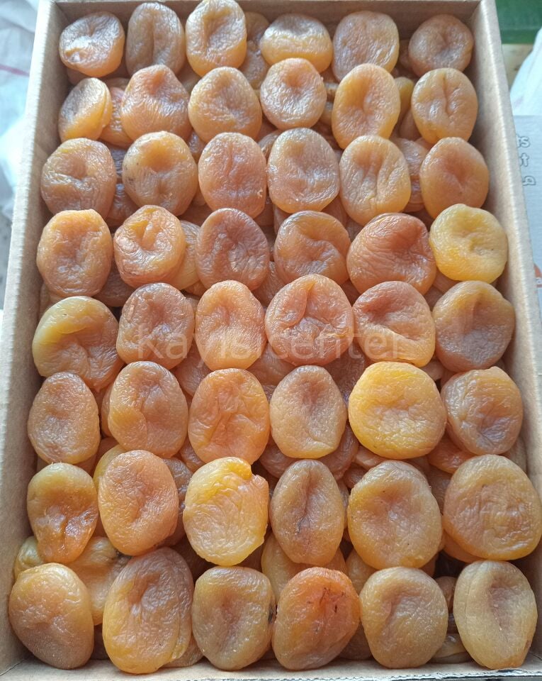 Toptan Jumbo Kayısı B Kalite 10 Kg