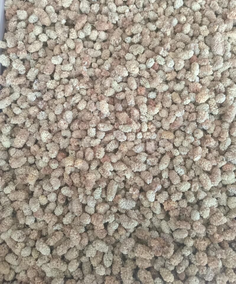 Toptan Elazığ Lüks Kuru Dut 10 Kg