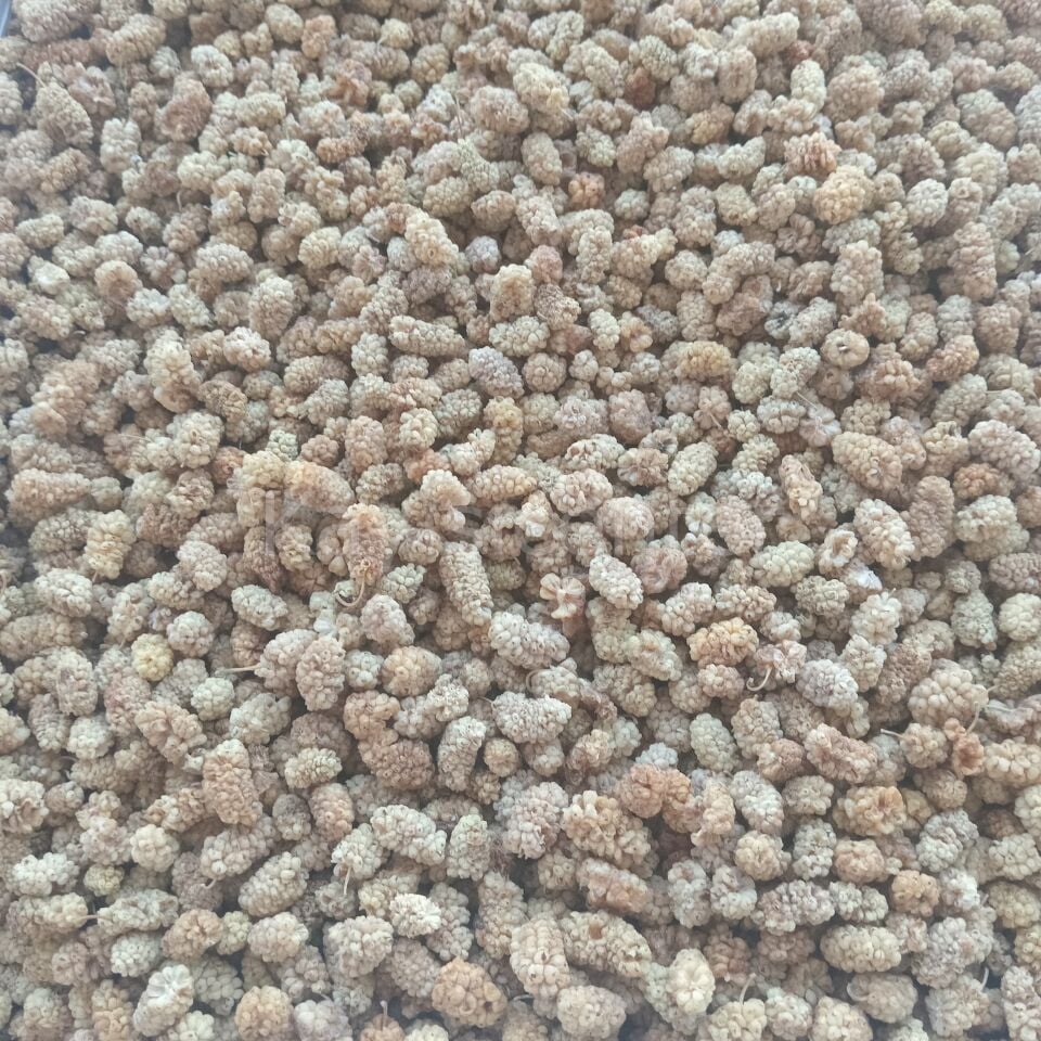 Toptan Elazığ Lüks Kuru Dut 10 Kg