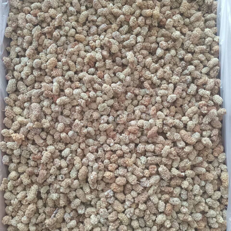 Toptan Elazığ Lüks Kuru Dut 10 Kg