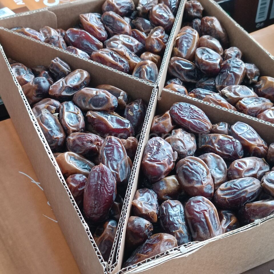 Toptan Kudüs Medjoul Large Hurma 10 Kg