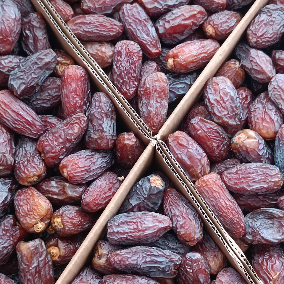 Toptan Kudüs Medjoul Midium Premium Hurma