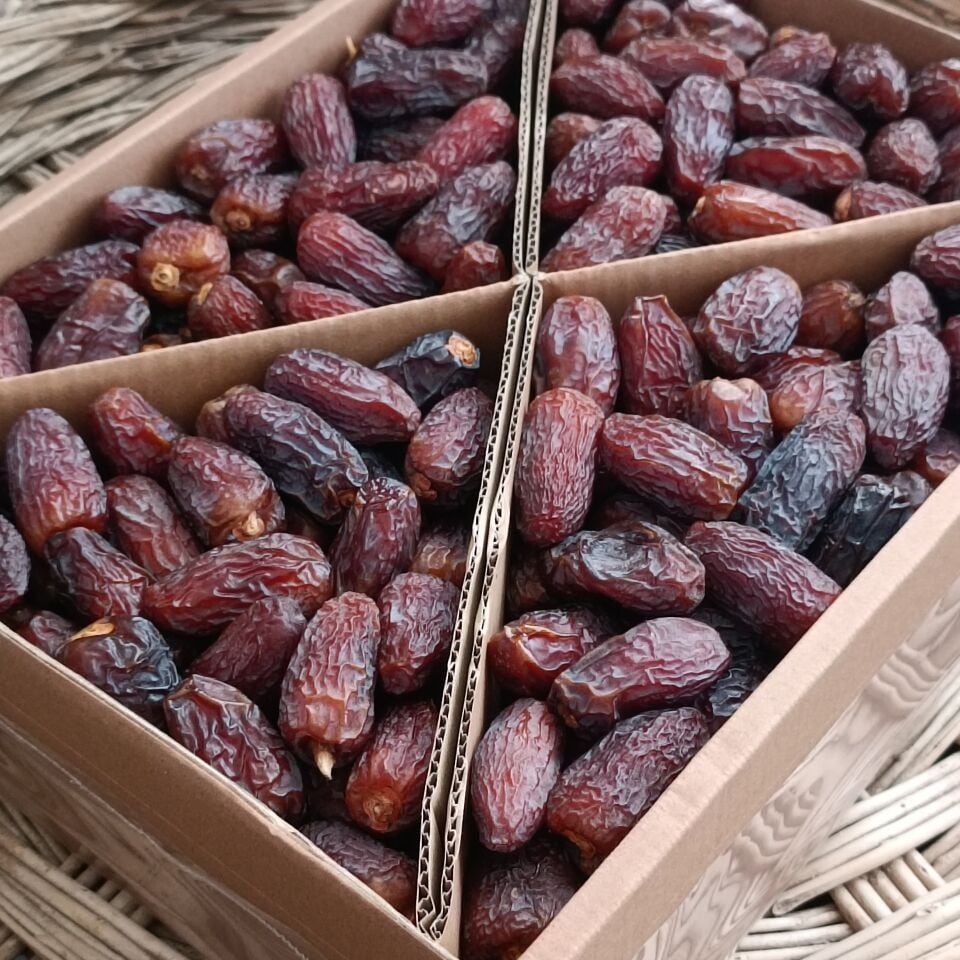 Toptan Kudüs Medjoul Midium Premium Hurma 10Kg