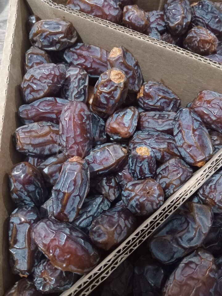 Toptan Kudüs Medjoul Midium Premium Hurma