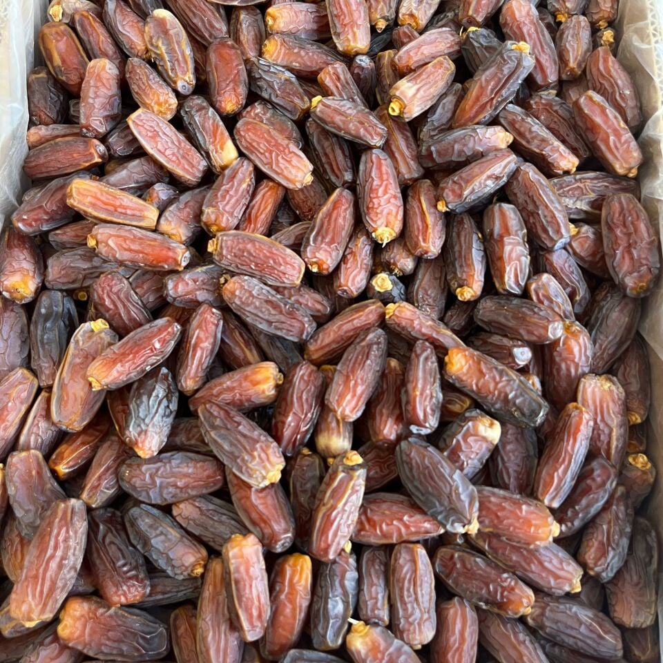 Toptan Jumbo Medine Mebrum Hurma 10 Kg
