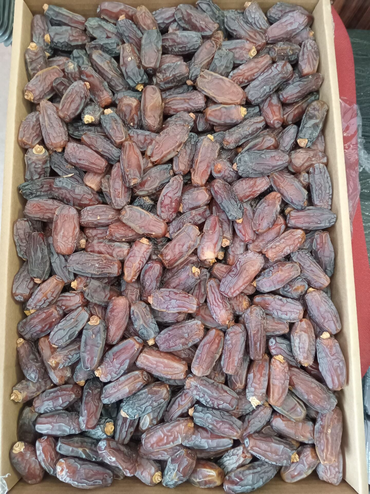 Toptan Jumbo Medine Mebrum Hurma 10 Kg