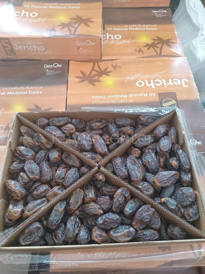 Toptan Kudüs Medjoul Jumbo Lüks Hurma 10 Kg