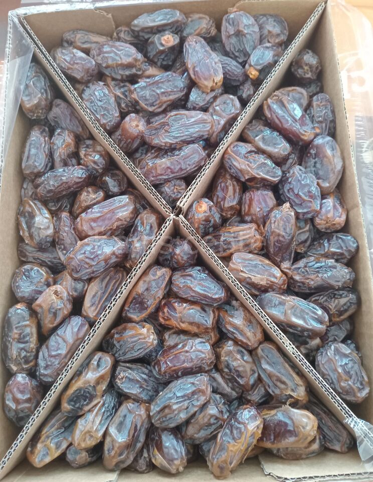 Toptan Kudüs Medjoul Jumbo Lüks Hurma 10 Kg