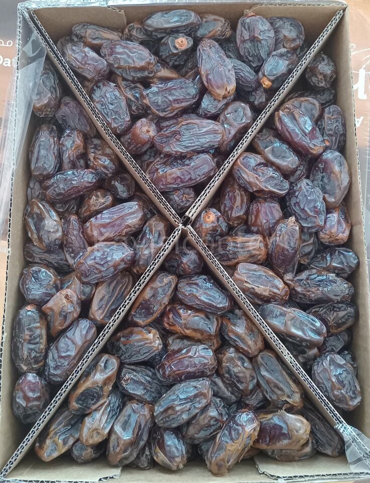 Toptan Kudüs Medjoul Jumbo Lüks Hurma 10 Kg