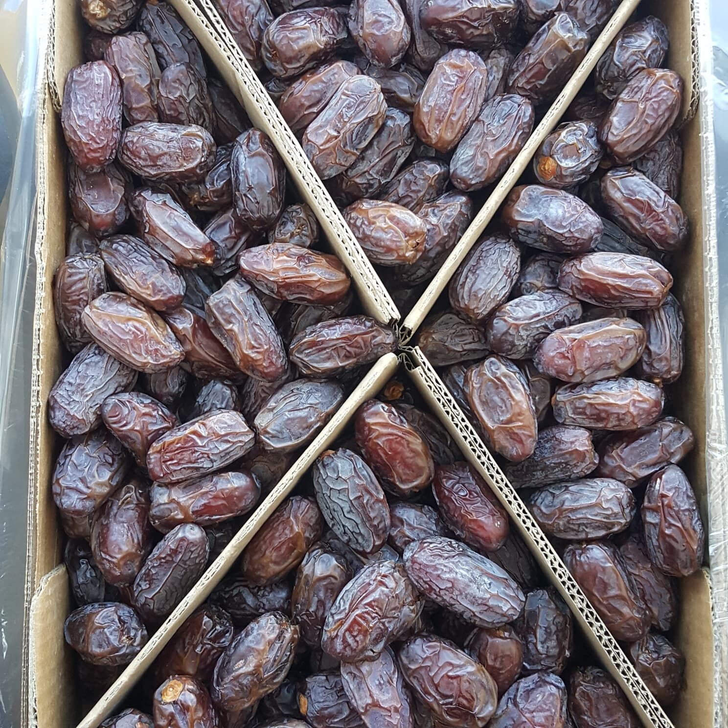 Toptan Kudüs Medjoul Premium Jumbo 10 Kg