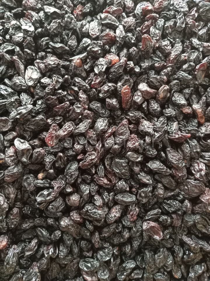 Toptan Kilis Karası Ekonomik  Üzüm -10- Kg