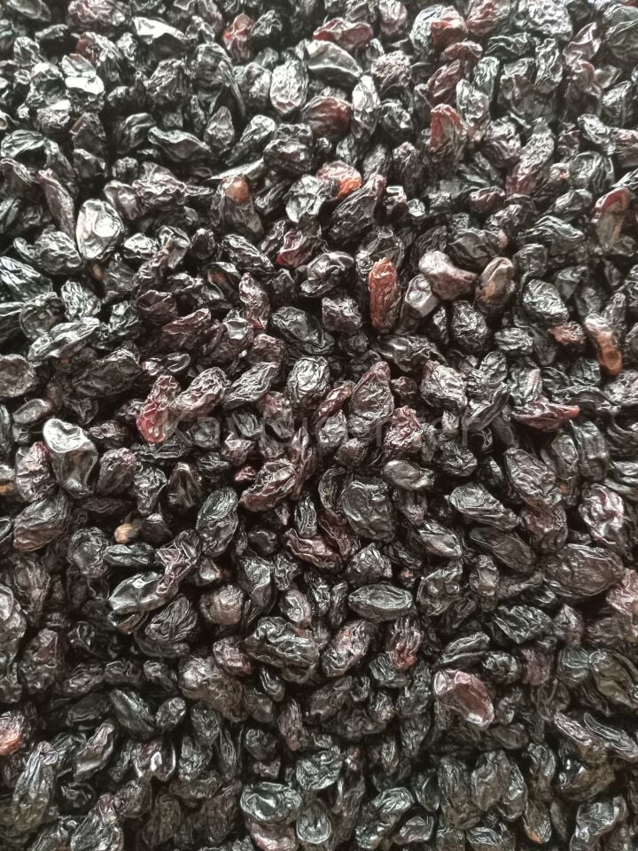 Toptan Kilis Karası Ekonomik  Üzüm -10- Kg