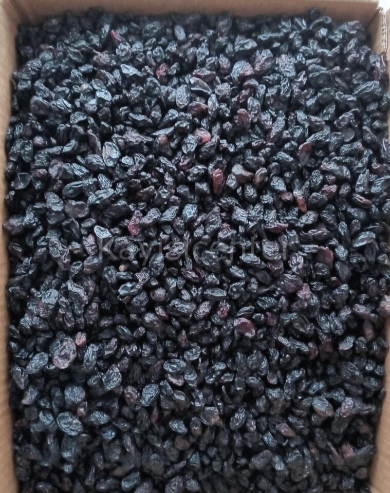 Toptan Kilis Karası Ekonomik  Üzüm -10- Kg