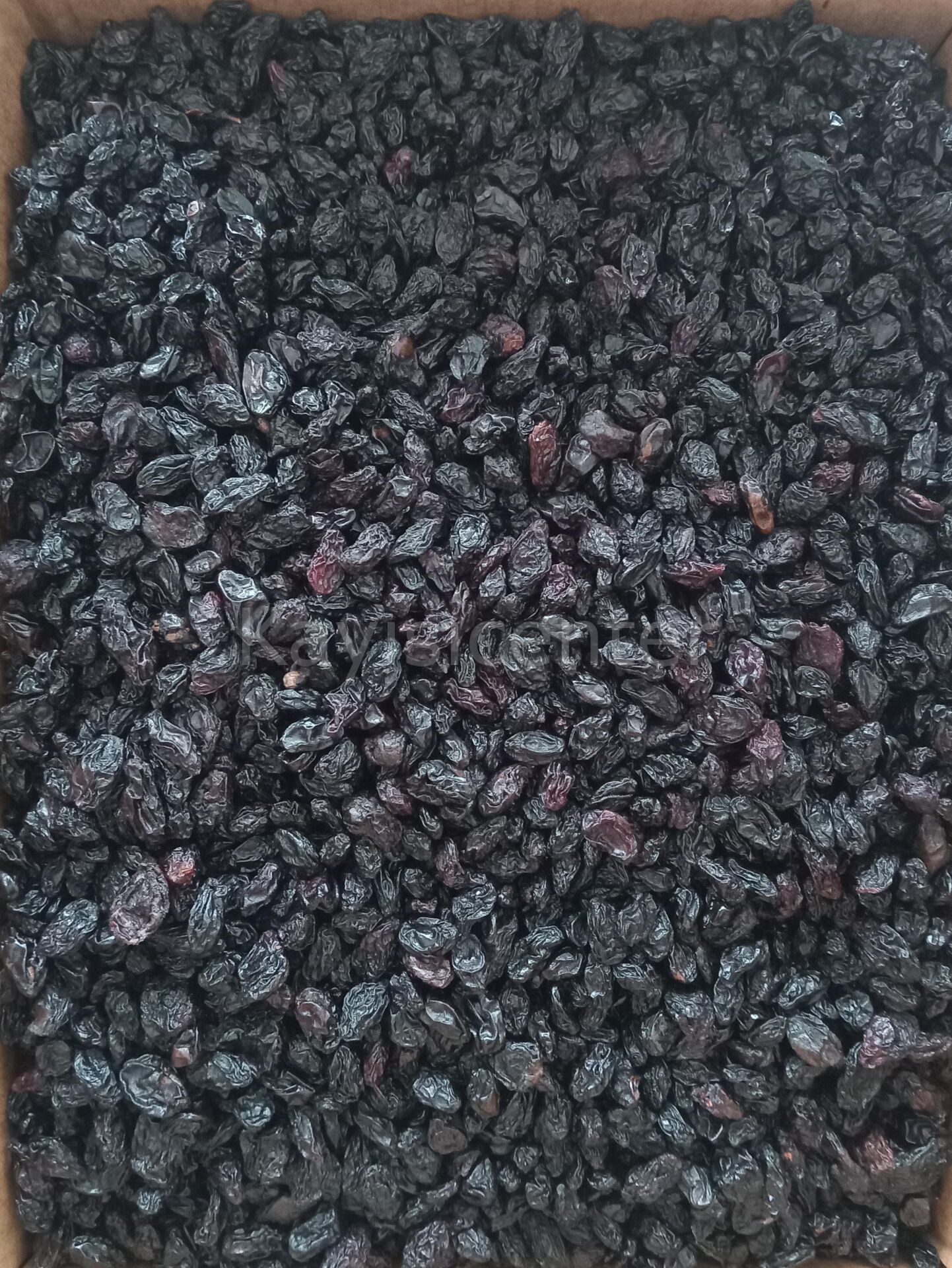 Toptan Kilis Karası Ekonomik  Üzüm -10- Kg