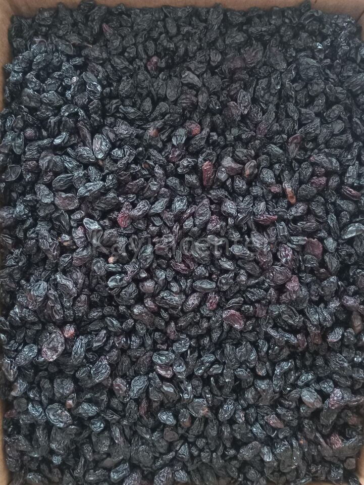 Toptan Kilis Karası Ekonomik  Üzüm -10- Kg