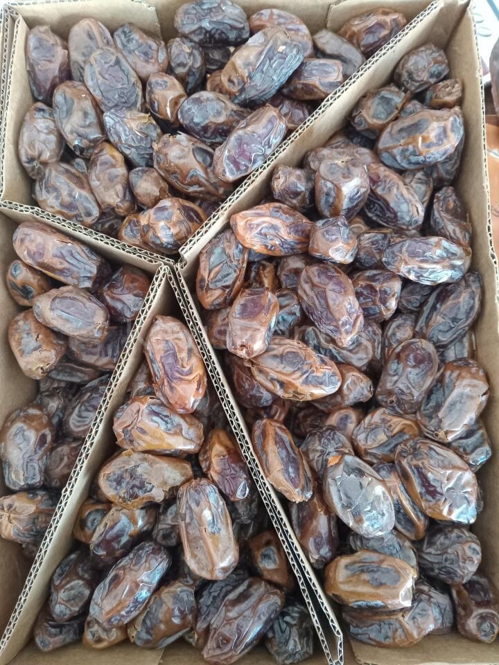 Toptan Kudüs Medjoul Ekonomik Hurma 10 Kg
