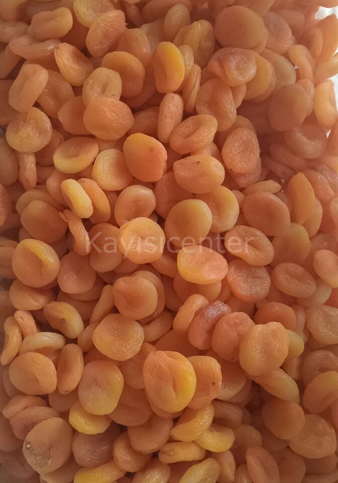 Toptan Ekstra Jumbo Sarı Kayısı 10 Kg